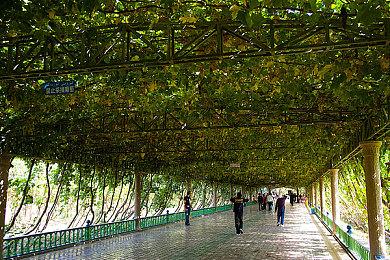 传《GTA6》至少已经开发了8年